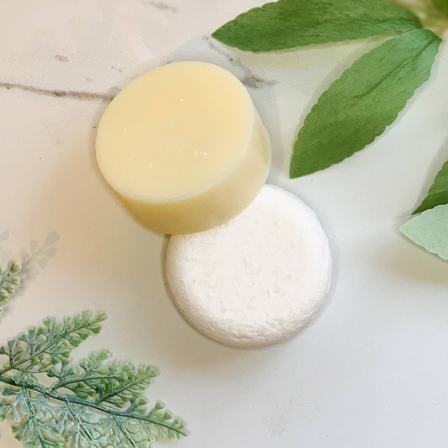 Shampoo Bar | Tea Tree Lavender | Packaged | Solid Shampoo