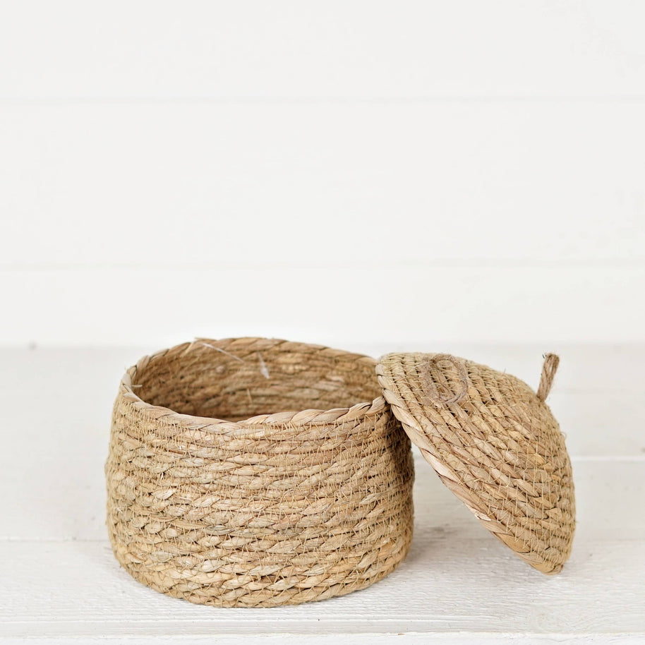 Silo Shape Basket of Cattail Leaves with Lid-7Hx7.5D