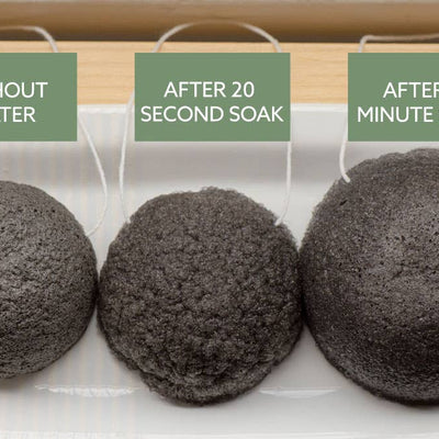 LUNA Charcoal Facial Sponge - Bulk Unpackaged - No Tox Life